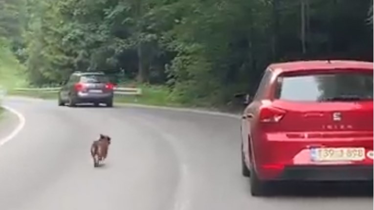 Izbacili su ga iz auta u središnjoj BiH. Trčao je za njima, ali ih nije stigao